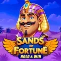 Μικρογραφία του παιχνιδιού Sands of Fortune Hold and Win