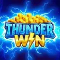 Μικρογραφία του παιχνιδιού Thunder Win Hold and Win